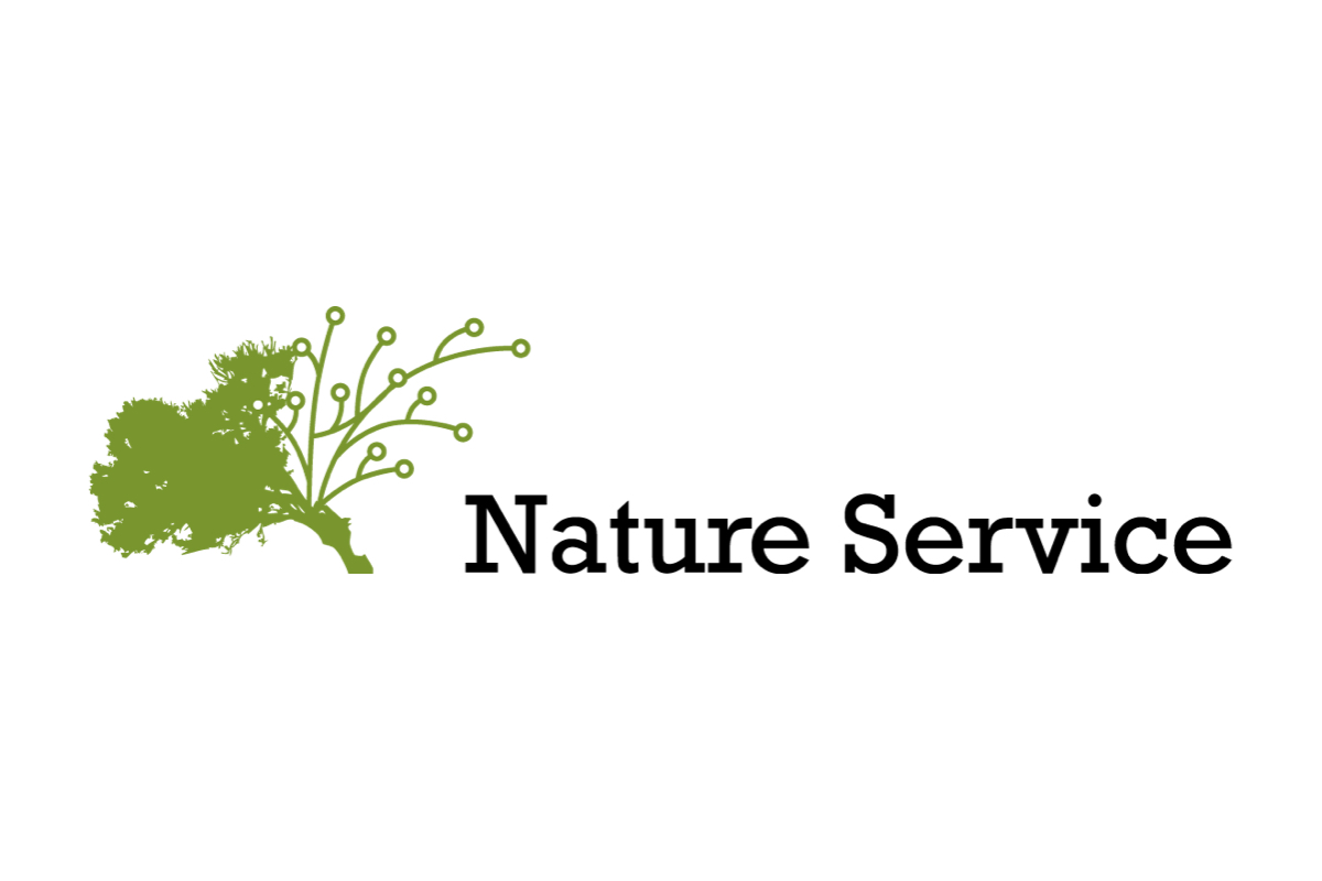 はじめまして！Nature Serviceです。