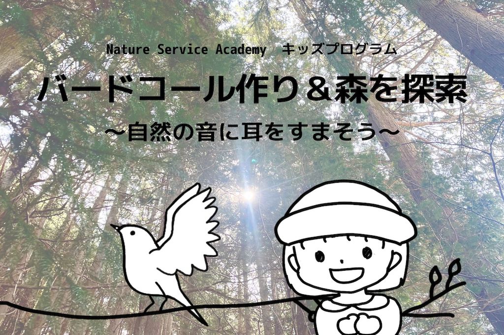 【6/24(土)開催！】キッズプログラム「バードコール作り&森を散策」のお知らせ