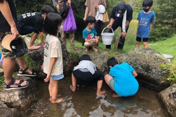 【8月開催！】キッズプログラム「魚のつかみ取り」のお知らせ