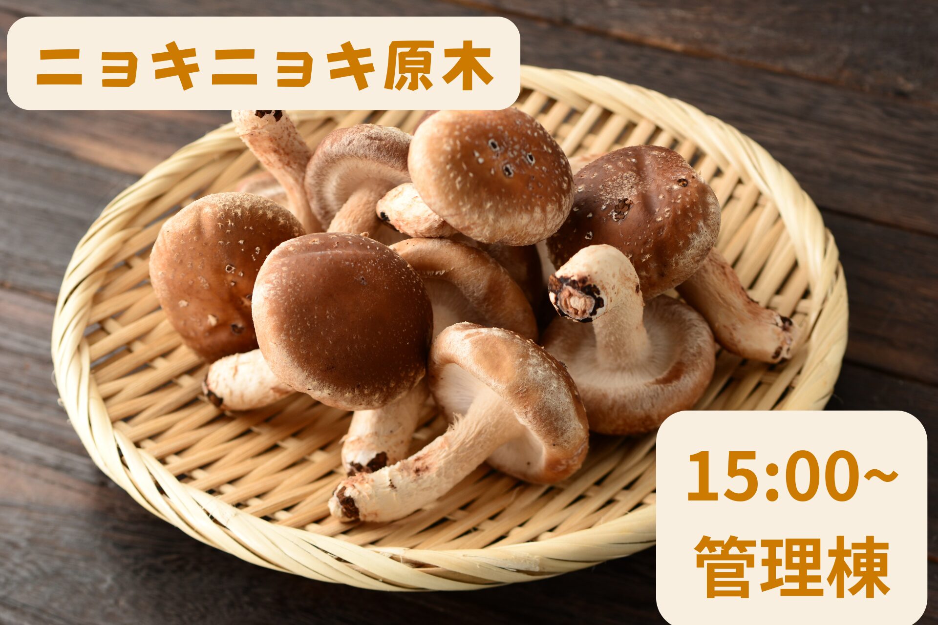 【2026年4月11日(土),18(土)】  作ってみよう！ニョキニョキ原木